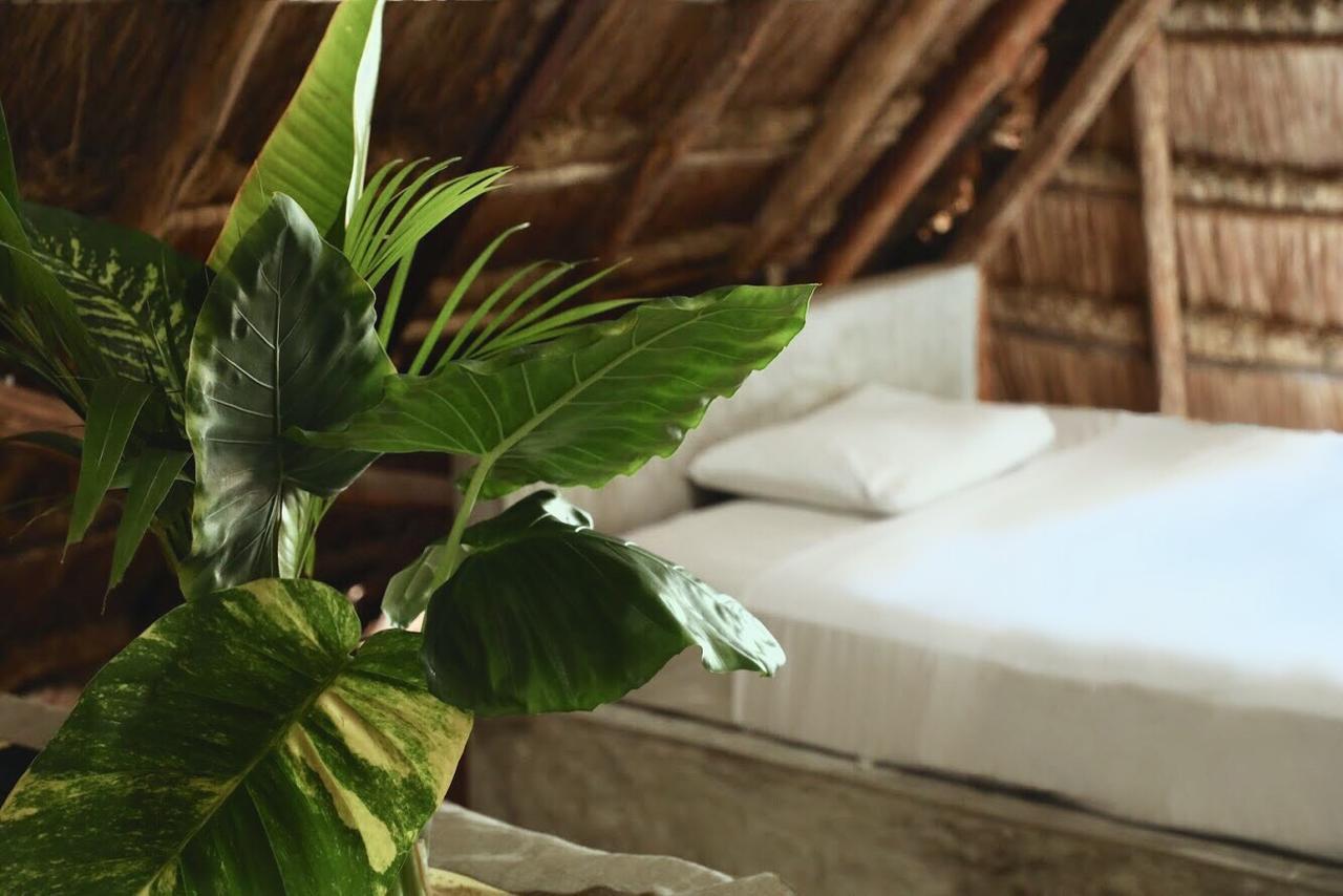 Tuup Jungle Aparthotel Тулум Екстериор снимка